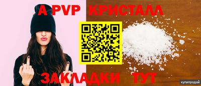 спиды Заводоуковск