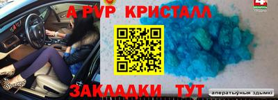 спиды Заводоуковск